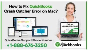 Read more about the article How to Fix QuickBooks Crash Catcher Error on Mac?